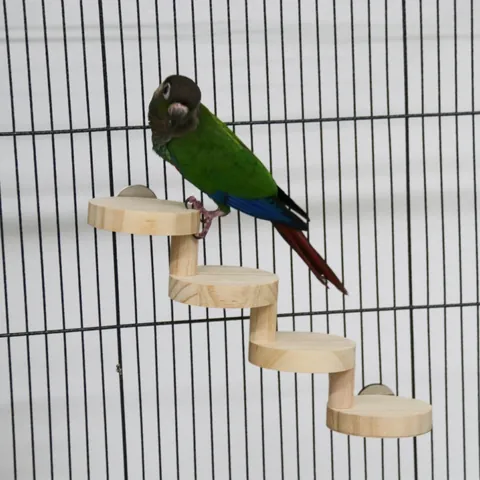 Natuurlijk Massief Houten Vogel Klimladder Wenteltrap Zitstok Voor Papegaaien Hamsters Kauwspeelgoed Kooi Decoratie