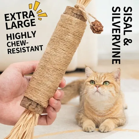 Giocattolo da Masticare per Gatti in Silvervine Gigante Con Corda in Sisal Rafia e Galla di Quercia Naturale Pulizia dei Denti Bastone per Gatti e Gattini