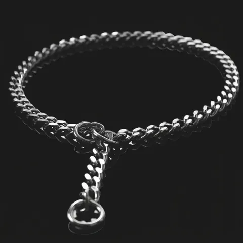Stainless Steel Dog Training Collar No Pull P-Chain Seamless Welding Polished Heavy Duty Choke Chain For Medium Large Dogs