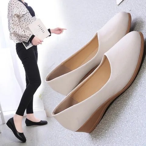 Dames Mode Spitse Neus Schoenen Comfortabel Zachte Zool Effen Leer Instappers Sleehak Loafers Voor Lente Herfst Casual