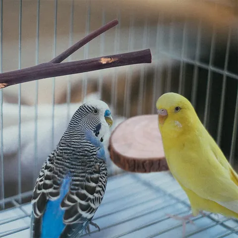 Natural Wood Bird Perch Standing Platform Branch Perch Parrot Chewing Toy For Cages Budgie Parakeet Pet Cage Accessories