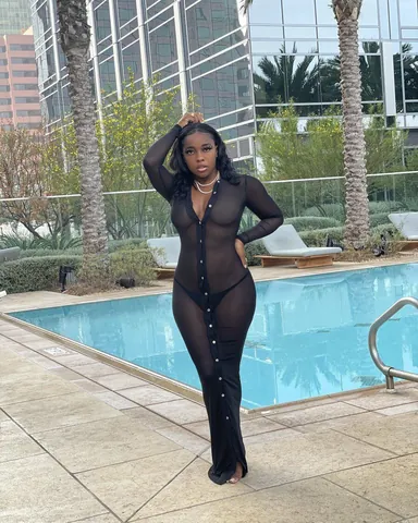 Sexy Women Transparent Mesh Maxi Dress Deep V Neck Long Sleeve Single Breasted Button Front Sheer Cover Up Clubwear Night Dress