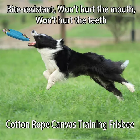 Durable Canvas Dog Flying Disc Toy Colorful Braided Cotton Rope Interactive Teething Toy Outdoor Training Frisbee for Dogs