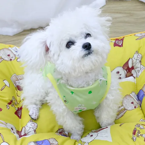 Cute Cartoon Animal Print Pet Dog Summer Vest Breathable Mesh Shirt Striped Fleece Puppy Clothes For Small Dogs Cats