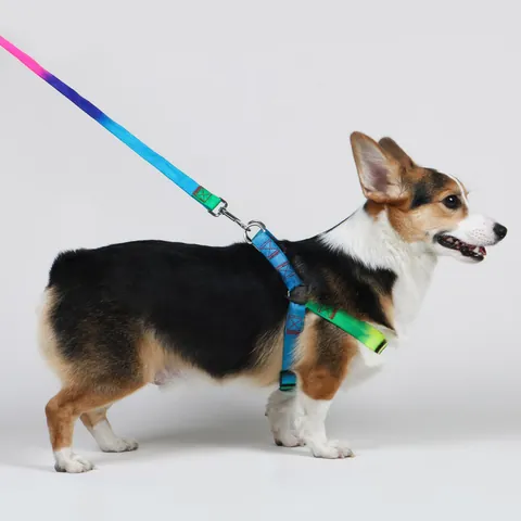 Adjustable Rainbow Gradient Pet Leash And Harness Set Durable Polyester Walking Tether For Small Medium Dogs Cats With Metal Buckle