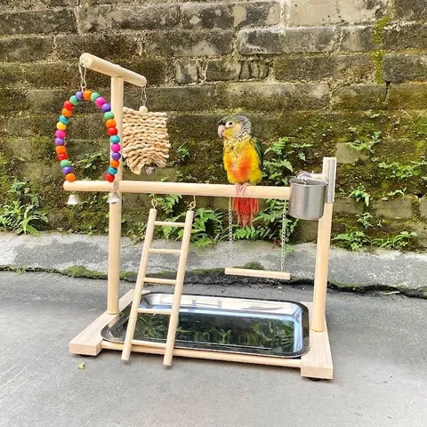 Wooden Bird Playground Stand With Stainless Steel Tray Cups Ladder Swing Natural Pine Perch Gym Toy For Parrot Parakeet Cockatiel