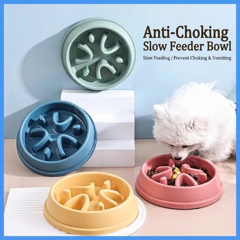 Pet Slow Feeder Bowl Anti Choke Dog Cat Eating Bowl Non Slip Bottom Maze Design Durable Plastic Healthy Feeding Bowl
