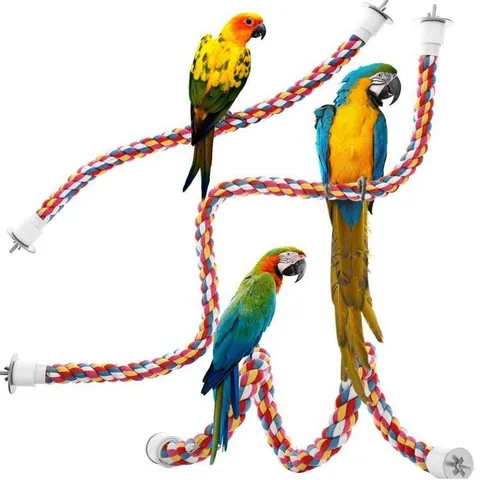 Kleurrijk Buigzaam Katoen Touw Papegaai Speelgoed Vogelkooi Klimtouw Kauwspeelgoed Zitstok Voor Papegaaien Kleine Middelgrote Vogels Accessoires