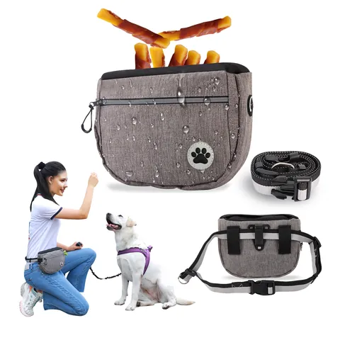 Sac à Friandises Portable pour Dressage de Chiens Grande Capacité Pochette de Taille pour Snacks Animaux Tissu Oxford Réfléchissant