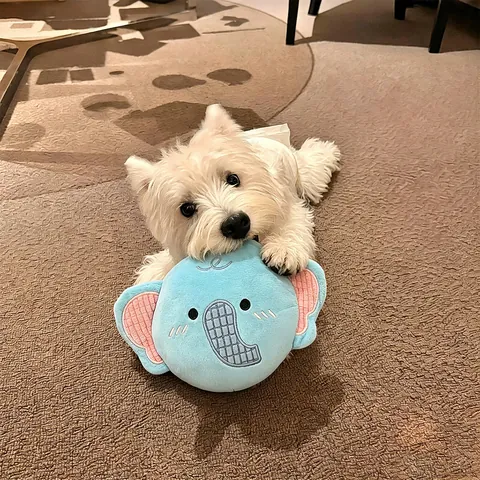 Giocattolo Disco Volante per Cani in Poliestere Peluche a Forma di Leone Elefante Giocattolo Interattivo per Animali