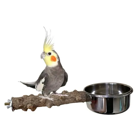 Stainless Steel Bird Feeding Bowl With Natural Prickly Ash Wood Perch Stand Parrot Food Water Cup Cage Accessories