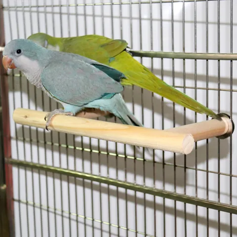 Natural Wood Bird Toy Parrot Stand Cockatiel T-Shaped Door-Shaped Perch Cage Accessories Claw Grinding Chewing Wood Perch