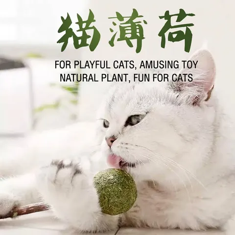Natural Catnip Ball Lollipop With Matatabi Stick Silver Vine Teeth Grinding Stick For Cats Oral Cleaning Hairball Relief Chew Toy