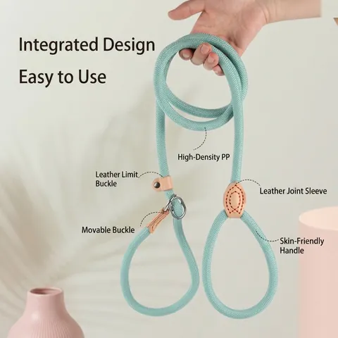 Dog Leashes and Collars