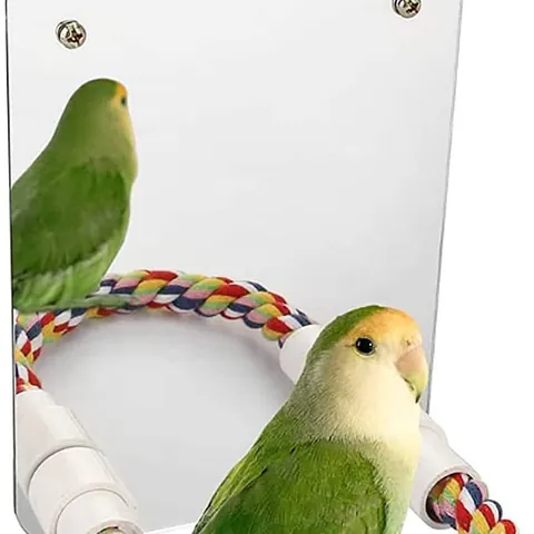 Papegaai Vogelspeelgoed Acryl Spiegel Met Gekleurd Gevlochten Katoenen Touw Zitstok Bel Voor Papegaaien Kooi Accessoires