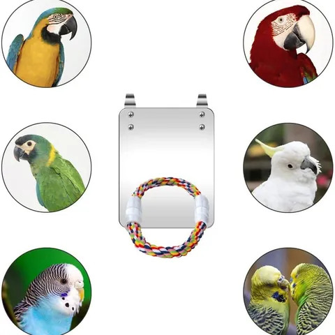 Papegaai Vogelspeelgoed Acryl Spiegel Met Gekleurd Gevlochten Katoenen Touw Zitstok Bel Voor Papegaaien Kooi Accessoires