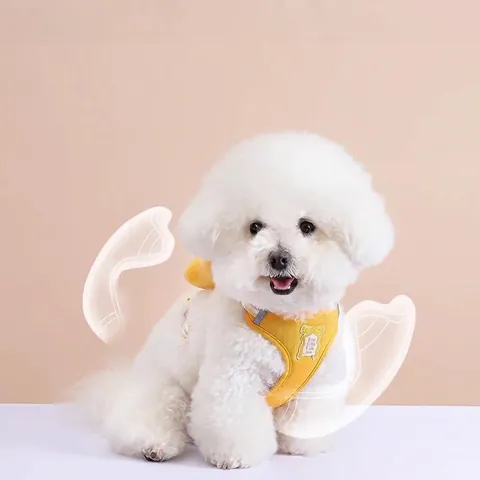 Cute Bowknot Pet Dog Harness Vest Breathable Mesh Anti-Escape Reflective Strip Walking Leash Set For Small Dogs Bichon Teddy