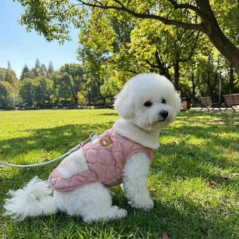Cute Bear Embroidered Dog Vest Autumn Winter Warm Padded Pet Clothes With Artificial Fleece Collar D-Ring For Small Puppy Teddy