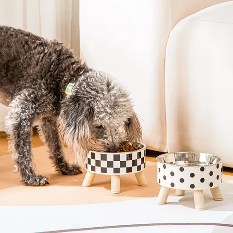 Elevated Stainless Steel Pet Bowl for Dogs and Cats Anti-Slip Anti-Tip Raised Cat Food Water Dish with Wood Stand