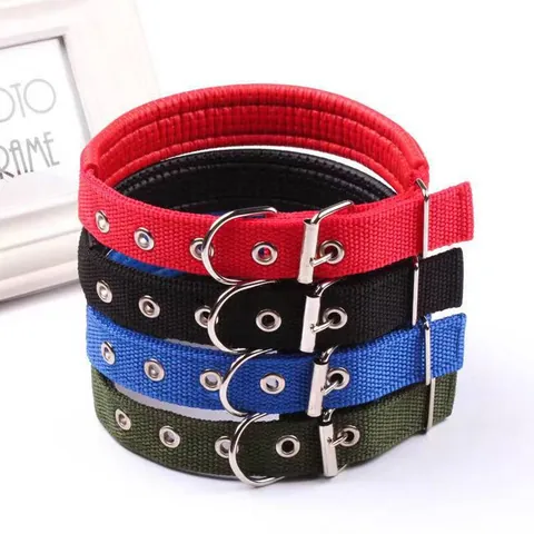Comfortable Padded Dog Collar Nylon Webbing Adjustable Alloy Buckle Soft Foam Inner Lining For Small Medium Large Dogs