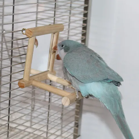 Natural Wood Bird Mirror Toy Parrot Cage Stand Perch With Mirror For Budgies Cockatiels Small Birds Playing Cage Accessories