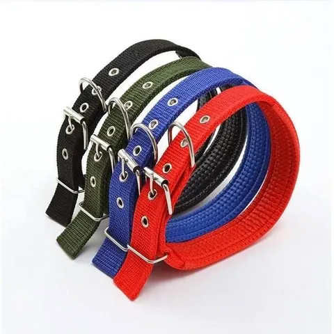 Comfortable Padded Dog Collar Nylon Webbing Adjustable Alloy Buckle Soft Foam Inner Lining For Small Medium Large Dogs