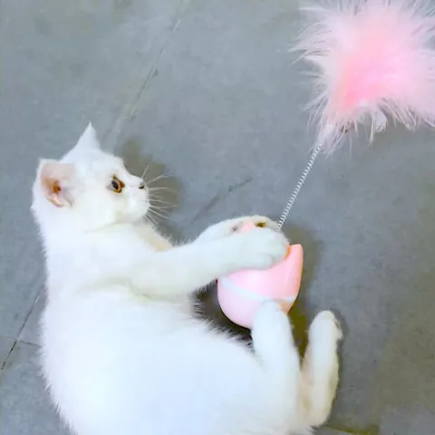 Interactive Cat Toy Tumbler Kitten Toy With Feather Spring Design Cartoon Cat Shape Indoor Pet Exercise Teaser Toy