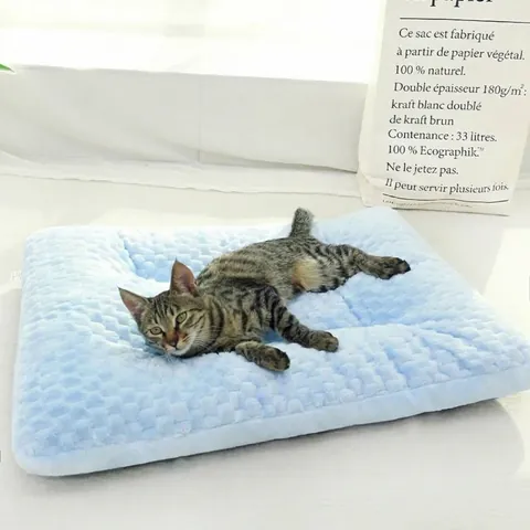 Verdikte Warme Huisdier Slaapmat Zacht Pluche Stof Hondenmand Voor Kleine Middelgrote Honden Katten Ademend Kussen Mat