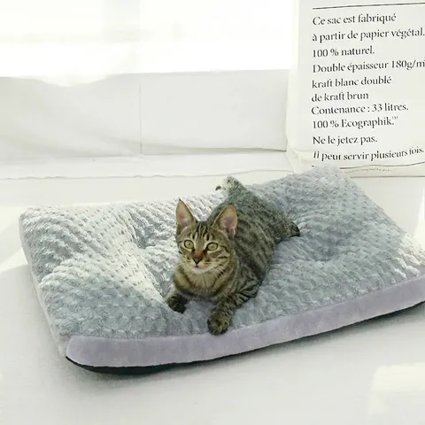 Verdikte Warme Huisdier Slaapmat Zacht Pluche Stof Hondenmand Voor Kleine Middelgrote Honden Katten Ademend Kussen Mat