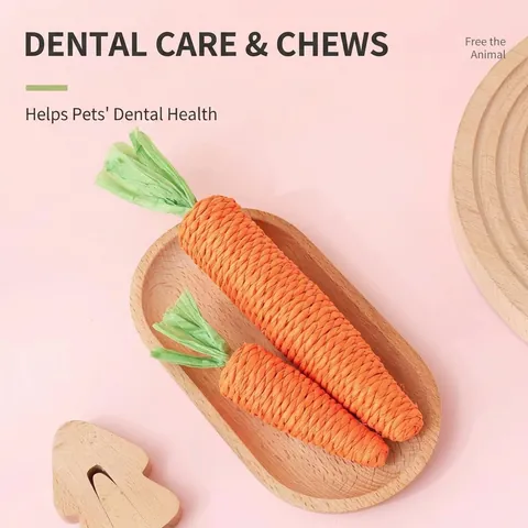 Realistic Carrot Cat Toy Interactive Paper Rope Woven Teething Toy Bite Resistant Squeaky Pet Toy For Kittens Indoor Cats