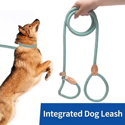 Heavy Duty Braided Polyester Slip Lead Dog Leash Integrated P-Rope Collar Anti-Pull Training Leash For Large Medium Small Dogs