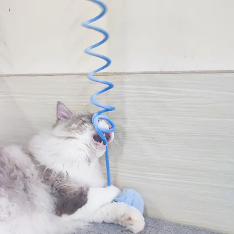 Interactive Hanging Cat Toy With Suction Cup Retractable Spring Plush Rabbit Fur Ball Feather Bell For Indoor Exercise Fun