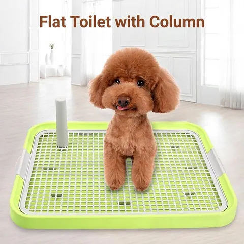 Large Pet Dog Potty Tray With Removable Pillar Non-Slip Mesh Grate Indoor Puppy Toilet Training Easy To Clean Plastic Poo Pad Holder