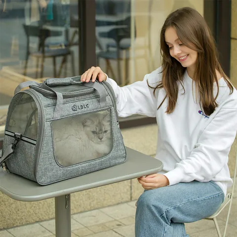 LDLC Portable Pet Carrier Bag For Cats And Dogs Breathable Mesh Foldable Pet Travel Bag Shoulder Carrier With Reflective Strip
