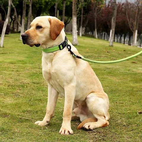Reflective Dog Leash And Collar Set Durable Nylon Padded Handle Adjustable Night Safety Walking Leash For Dogs Night Visibility Pet Accessories