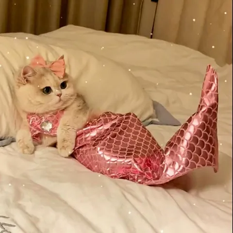 Divertido Disfraz de Sirena para Gato Ropa para Mascotas Lindo Vestido de Cola de Pez para Gatos Pequeños Gatito Sesión de Fotos Fiesta