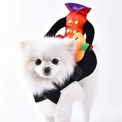 Halloween Pet Costume Pumpkin Knight Funny Dog Transformation Cosplay Apparel For Small Medium Dogs Polyester Holiday Party Outfit