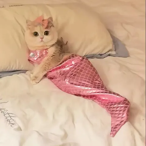 Divertido Disfraz de Sirena para Gato Ropa para Mascotas Lindo Vestido de Cola de Pez para Gatos Pequeños Gatito Sesión de Fotos Fiesta