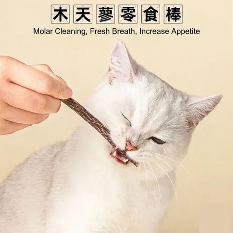 Bastoncini di Vite d'Argento Naturali per Gatti Alternativa all'Erba Gatta Giocattoli da Masticare Dentali per Gatti Pulizia dei Denti Bastoncini di Legno per Animali