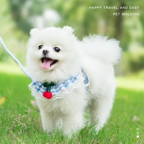 Cute Plaid Pet Harness And Leash Set For Small Dogs Cats Sweet Lace Cherry Pattern Adjustable Breathable Walking Mesh Vest Harness