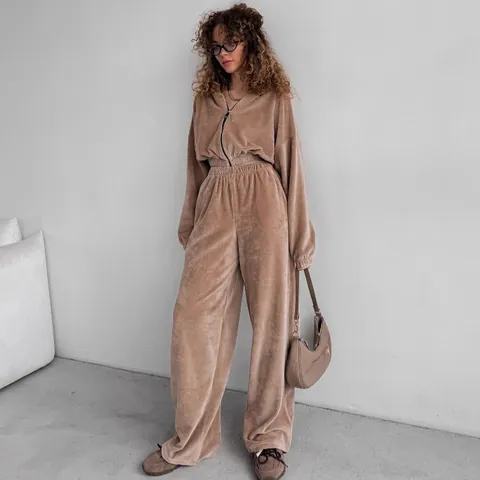 Women Casual Hooded Zip Up Sweatshirt And Wide Leg Pants Set Velvet Solid Color Long Sleeve Tracksuit Streetwear Lounge Set Outfit