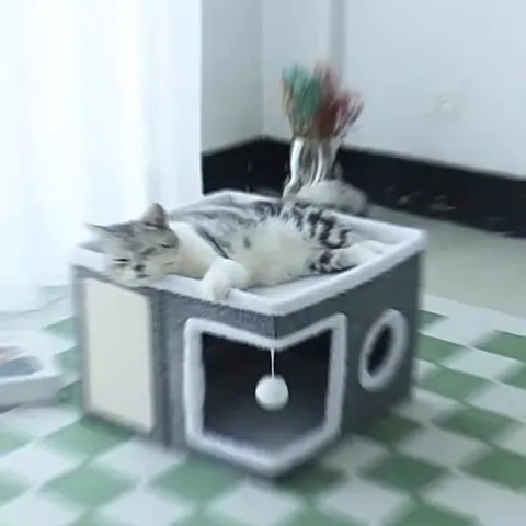 Villa Letto per Gatti Semi-Chiusa Pieghevole Con Tappetino Tiragraffi in Sisal Caldo Tessuto Peluche Casetta per Gattini Con Palla