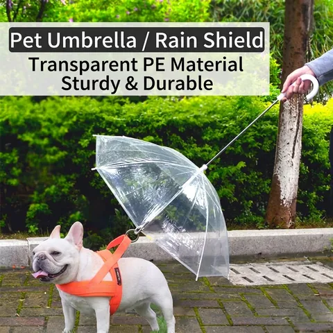 Parapluie Transparent pour Chien Avec Laisse Intégrée pour Petits Chiens Teddy Bouledogue Français Accessoires de Promenade