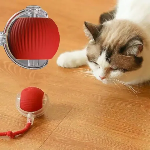 Palla Giocattolo Elettrica Intelligente per Gatti Giocattolo Interattivo per Animali Ricaricabile Type-C in Silicone per Gatti