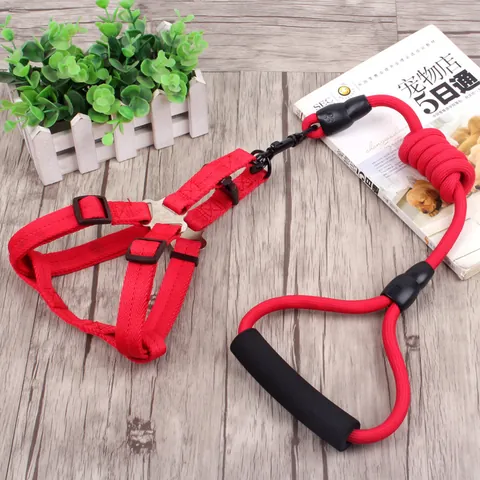 Verstellbares Nylon Haustier Hundeleine Geschirr Halsband Set Gepolsterter Griff Elastischer Puffer Geflochtenes Zugseil Für Hunde