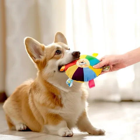 Giocattolo Sonoro Peluche Cane Frisbee Resistente ai Morsi Interattivo Cartone Animato Addestramento Animali per Cuccioli Cani Piccoli Medi