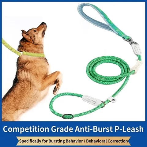 Anti-Pull Dog Training Slip Lead Reflective Nylon Bungee Leash Adjustable Pet Traction Rope For Large Medium Dogs Outdoor Walking