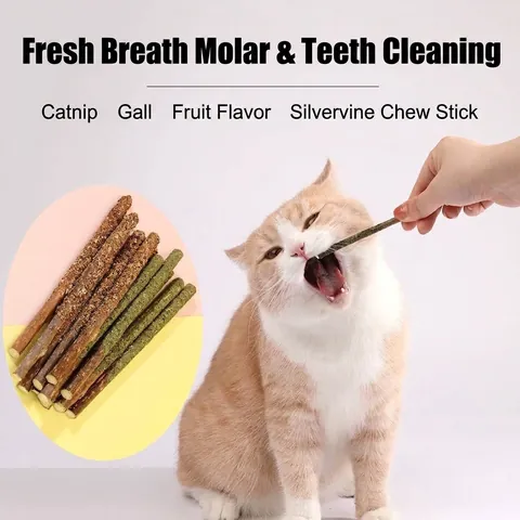 Bastoncini Giocattolo per Gatti in Silvervine Naturale Erba Gatta e Frutto di Galla per Pulizia Denti Rilassamento Masticabile per Gatti