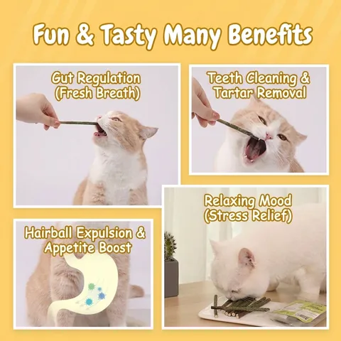 Bastoncini Giocattolo per Gatti in Silvervine Naturale Erba Gatta e Frutto di Galla per Pulizia Denti Rilassamento Masticabile per Gatti