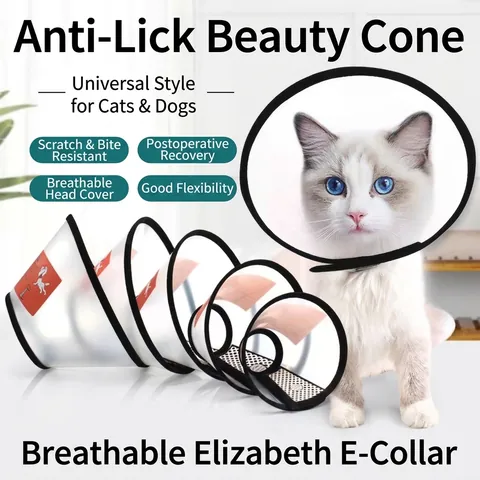 Collare Elisabettiano Regolabile per Animali Domestici Gatti Cani Anti-Morso Anti-Leccamento Protezione Post-Operatoria Bordo Morbido